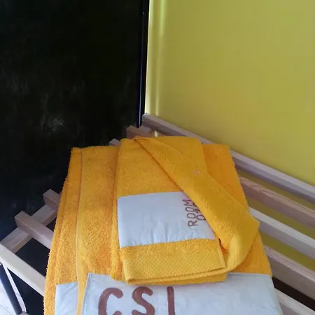 Csi & - Student קוימברה