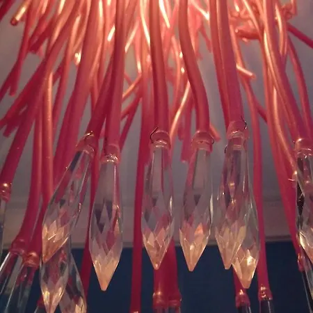 Csi & - Student 科英布拉