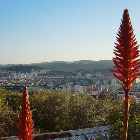 Csi Coimbra&guest House - Student